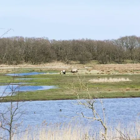 Luxus-ostseeferienhaus Leuchtturm *